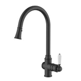 BORDEAUX PULL OUT KITCHEN MIXER BLACK