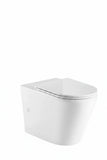 BROOKLYN E2 WALLHUNG PAN