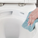 AMERICAN STANDARD HERON BACK TO WALL TOILET