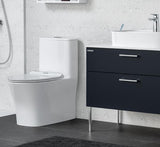 AMERICAN STANDARD SIGNATURE HYGIENE RIM TOILET SUITE
